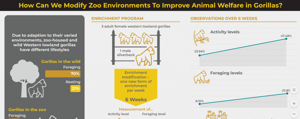 An example of an infographic created by Hindawi Research Promotion Services